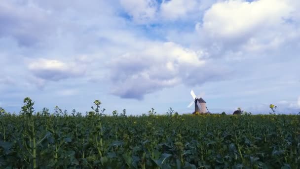 Velho moinho de vento no campo — Vídeo de Stock