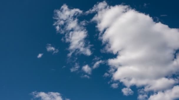 Λευκά Σύννεφα Ένα Μπλε Ουρανό Timelapse — Αρχείο Βίντεο