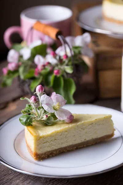 Pastel de queso de menta en un plato — Foto de Stock