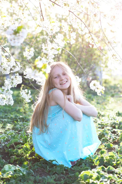 Ragazza in un frutteto di ciliegi in fiore — Foto Stock