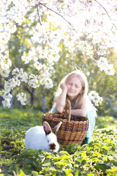 소녀와 토끼 — 스톡 사진