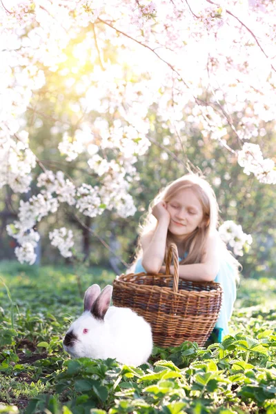 Girl and rabbit — Stock Photo, Image