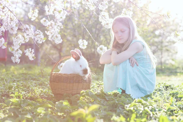 Dívka a králík — Stock fotografie
