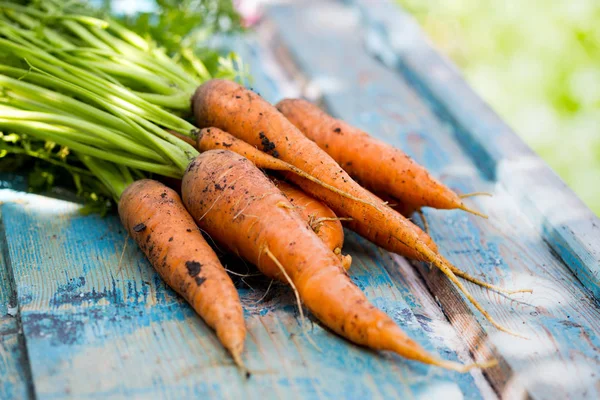 Carrots on a vintage wooden background — Stock Photo, Image