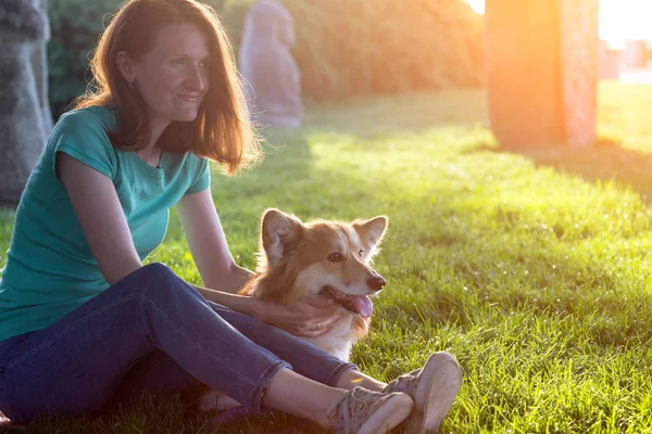 Corgi 무성 한 초상화 — 스톡 사진