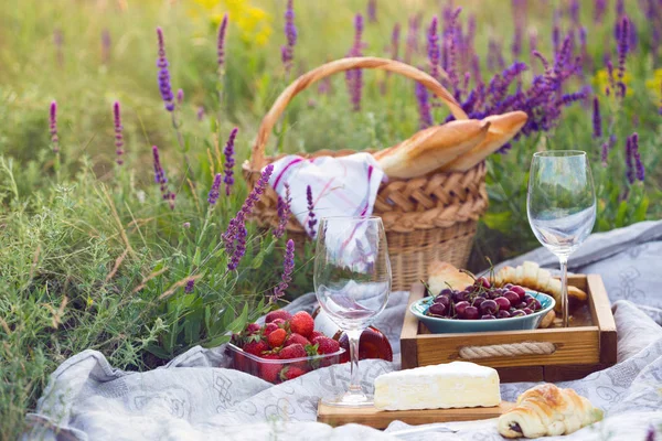 Picknick auf der Wiese — Stockfoto