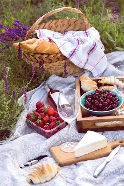 Picknick in de weide — Stockfoto