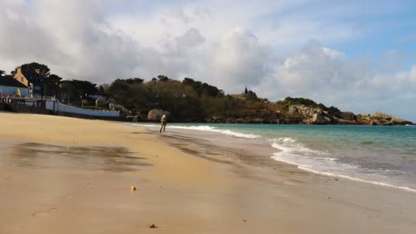 Enfant Fille Marche Jouer Sur Une Plage Vide Moment Marée — Video