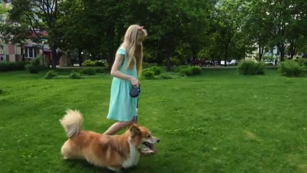 Dziecko Dziewczynka Szkolenie Psa Zielony Trawnik — Wideo stockowe