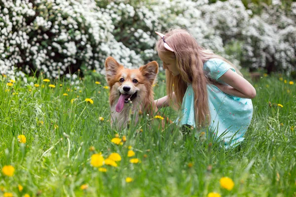 Ragazza con cane all'aperto — Foto Stock