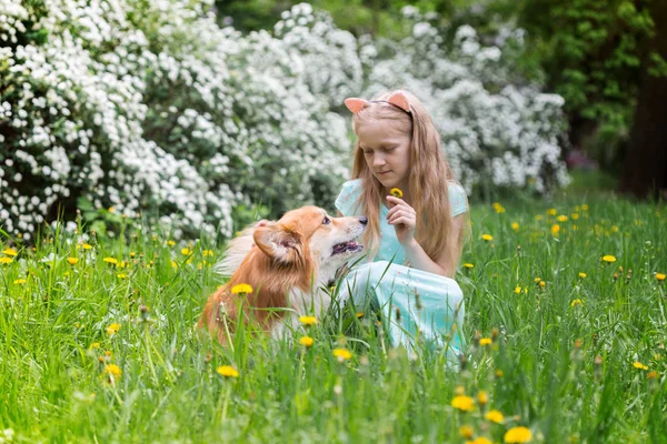 Meisje met hond buiten — Stockfoto