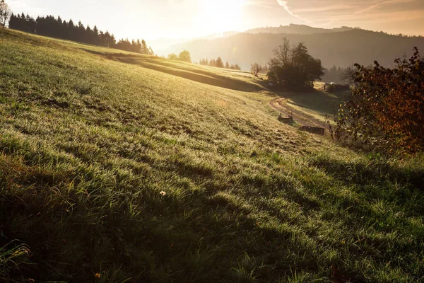 View of the valley in the early autumn morning — Stock Photo, Image