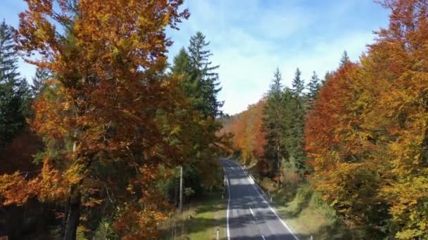 Поднимаясь Пустой Осенней Дороге Яркими Деревьями Зеленых Оранжевых Красных Тонах — стоковое видео