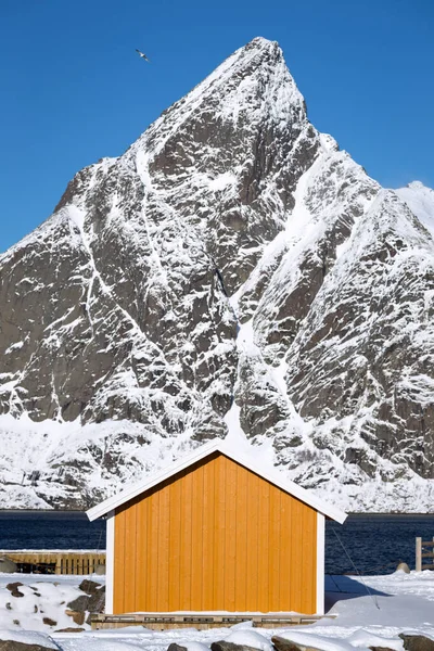 Tradicional casa de madera noruega rorbu — Foto de Stock