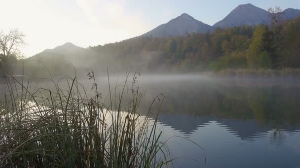 オーストリアの山の霧に包まれた朝の湖を眺め — ストック動画