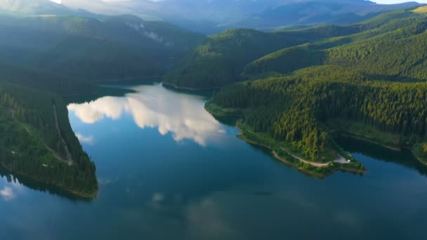 Wieczorne Jezioro Panorama Lotnicza Pięknymi Refleksami Sosnowym Wybrzeżem Lasu — Wideo stockowe