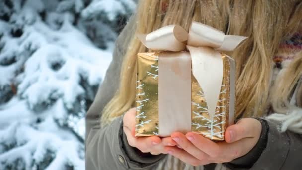 Little Child Girl Gift Box Her Hands Fir Tree Snowfall — Stock Video