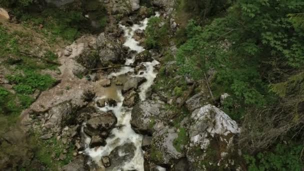 Riacho Montanha Que Flui Através Floresta Pinheiros Para Entrada Caverna — Vídeo de Stock