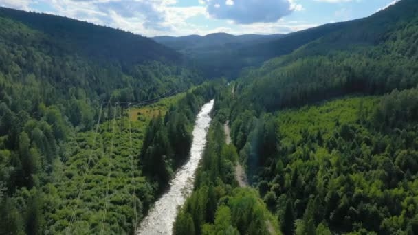 Hermoso Río Montaña Que Corre Través Del Bosque Pinos — Vídeos de Stock