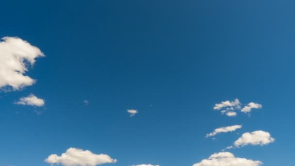 Nuvens Brancas Céu Azul Timelapse — Vídeo de Stock