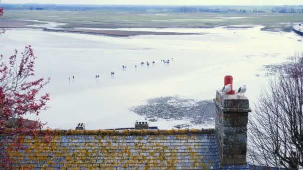 Люди Ходят Песку Пересекают Грязную Равнину Чайки Сидят Стенах Аббатства — стоковое видео