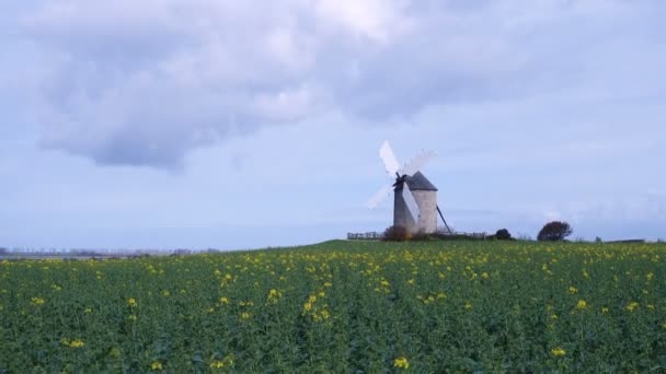 Régi Normandiai Szélmalom Mezőn Normandia Franciaország — Stock videók