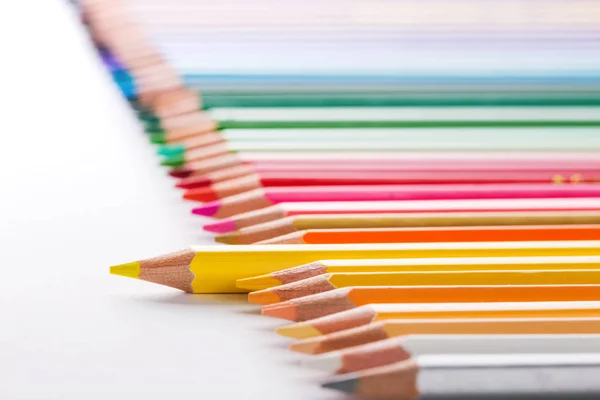 Leader concept with one pencil standing out of crowd of other pe — Stock Photo, Image