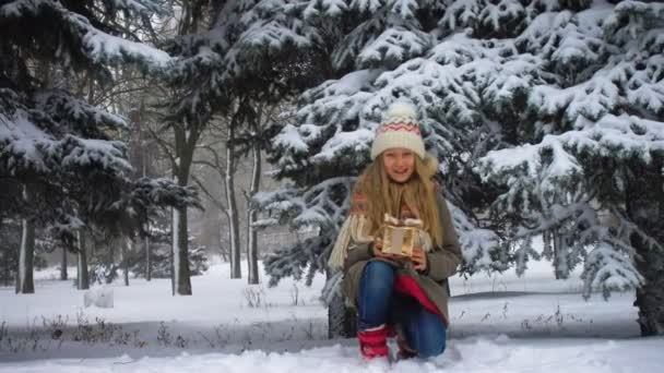 Kislány Megajándékozza Bolyhos Corgi Kutyáját Fenyőfa Mellett Hóesés Alatt — Stock videók