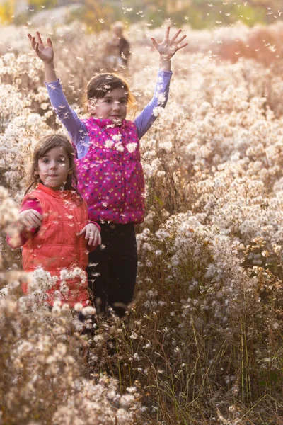 Smiling girls at the outdoors — Stock Photo, Image