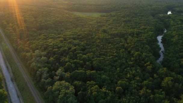 Caminho Ferro Através Floresta Outono Momento Pôr Sol — Vídeo de Stock