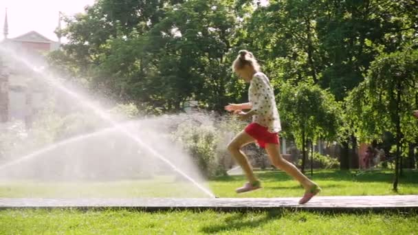 降りしきるスプリンクラーと公園の芝生で犬と遊ぶ女の子 — ストック動画