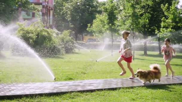 Flickor Som Leker Med Hunden Park Gräsmattan Med Hälla Sprinkler — Stockvideo