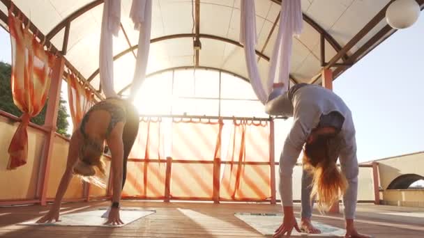 Grupo Mujeres Jóvenes Haciendo Ejercicios Yoga Aéreo Aire Libre — Vídeos de Stock