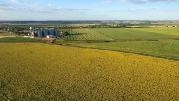Moderne Getreidesilos Aufzug Auf Dem Feld Der Blühenden Sonnenblumen Luftaufnahme — Stockvideo