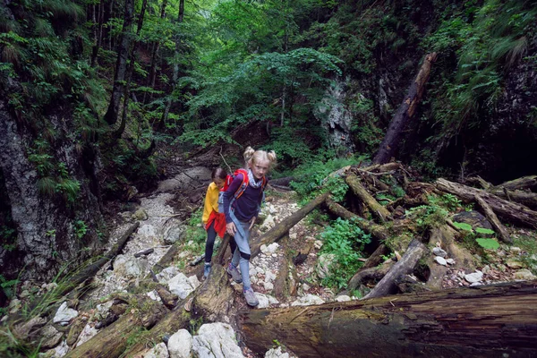 Chicas excursionista en un camino —  Fotos de Stock