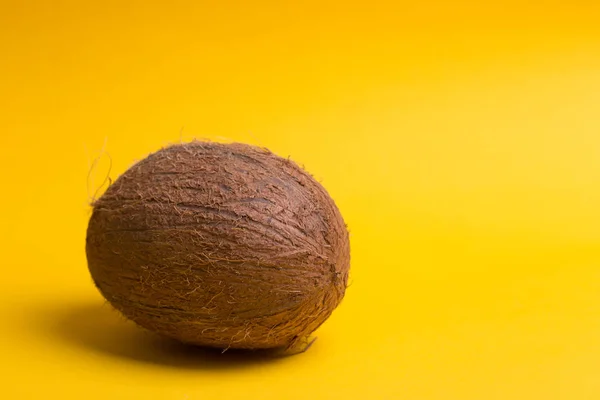 Coconut on a yellow background — Stok fotoğraf