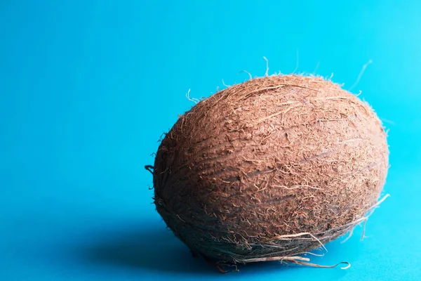 파란색 배경에 코코넛 — 스톡 사진