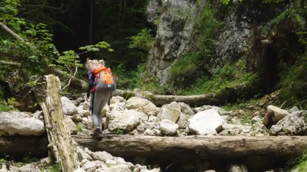 Attivo Bambino Ragazza Escursioni Presso Canyon Prapastiile Zarnestiului Parco Nazionale — Video Stock