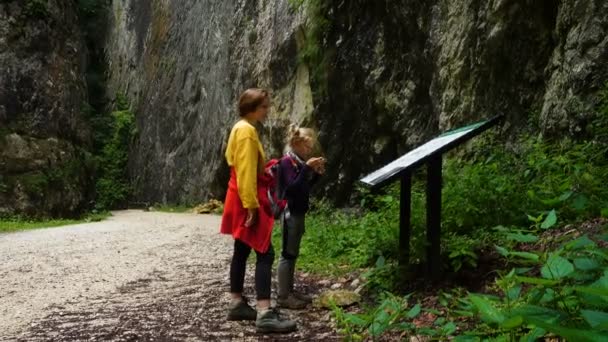 Niños Activos Caminando Por Cañón Prapastiile Zarnestiului Parque Nacional Piatra — Vídeos de Stock