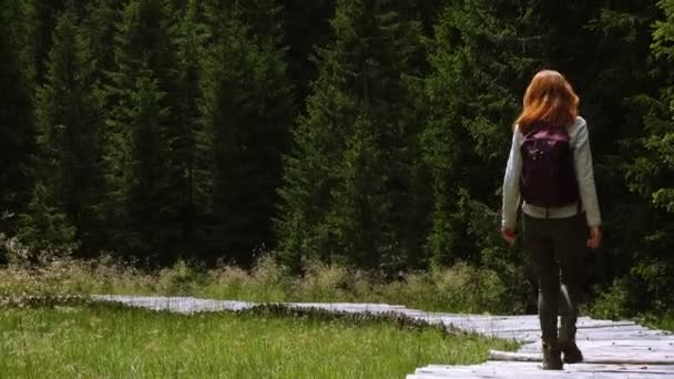 Chica Excursionista Caminando Por Camino Madera Pasarela Bosque Pinos Con — Vídeos de Stock