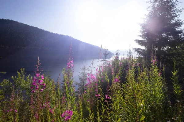 Bela paisagem montanhosa — Fotografia de Stock