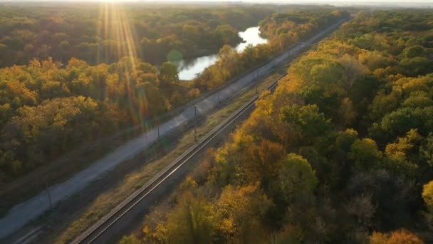 Ferrocarril Través Del Bosque Otoño Momento Puesta Del Sol — Vídeos de Stock