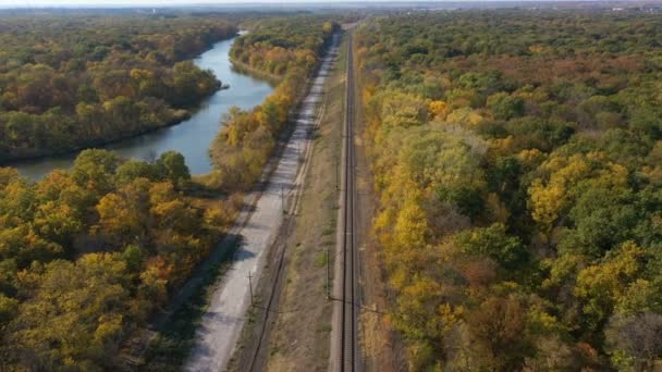 日没時の秋の森を通る鉄道は — ストック動画