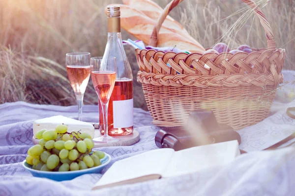 Picknick in de weide — Stockfoto