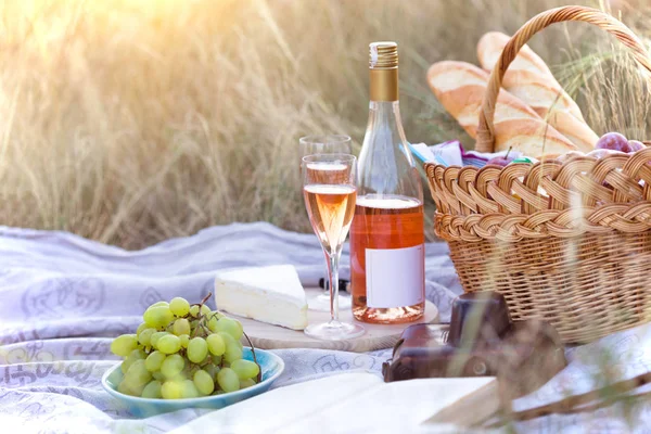 Picknick i ängen — Stockfoto