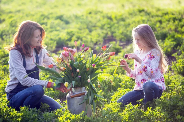 Mazzo enorme di tulipani — Foto Stock