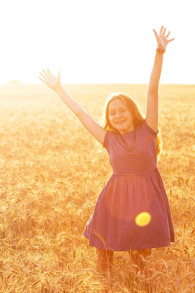 Girl at the field — Stock Photo, Image