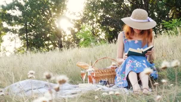 Lány Könyv Egy Piknik Nyári Mezőn — Stock videók