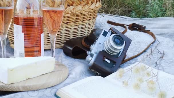 Picnic Basket Food Bottle Wine Grass Field — Stock Video