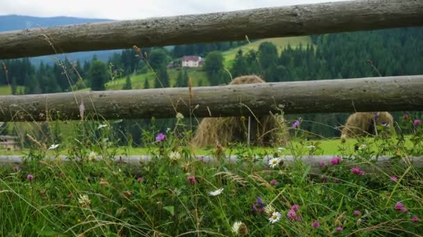 Красивый Сельский Пейзаж Традиционными Сельскими Домами Зеленых Травянистых Холмах Карпат — стоковое видео